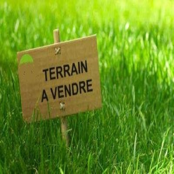 Offres de vente Terrain Montargis 45200