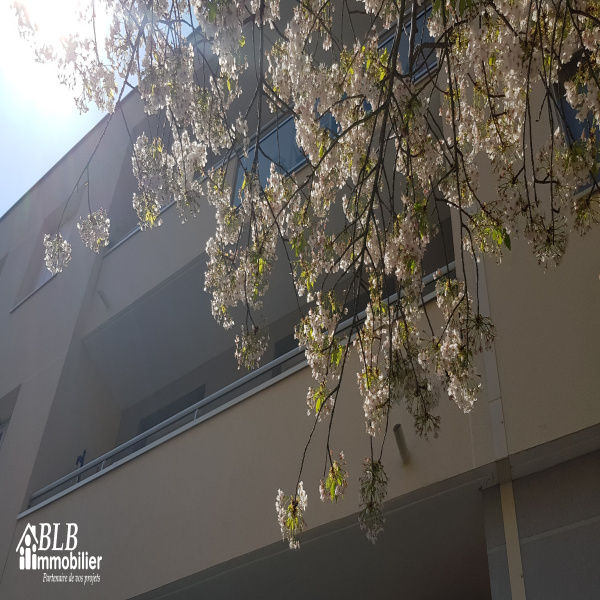 Offres de vente Appartement Élancourt 78990
