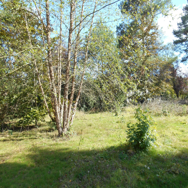 Offres de vente Terrain Essarts-le-Roi 78690