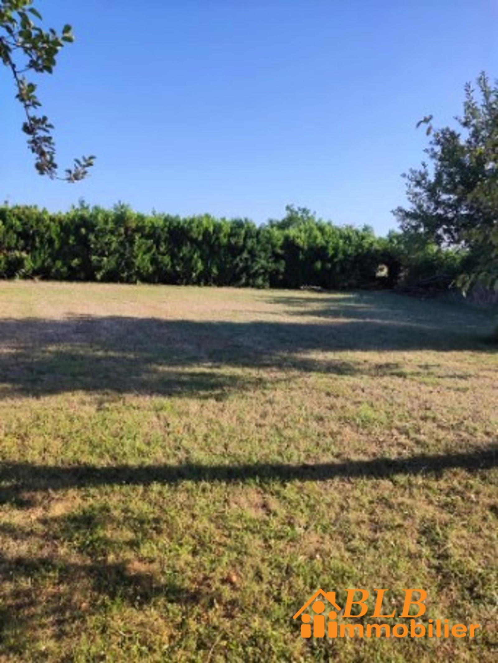 Image_, Terrain, Nargis, ref :B790