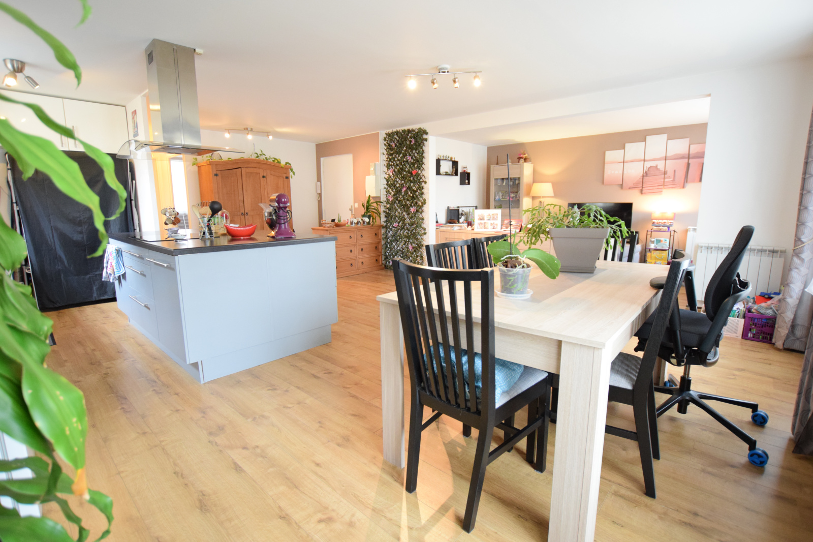 Image_, Appartement, Guyancourt, ref :B867