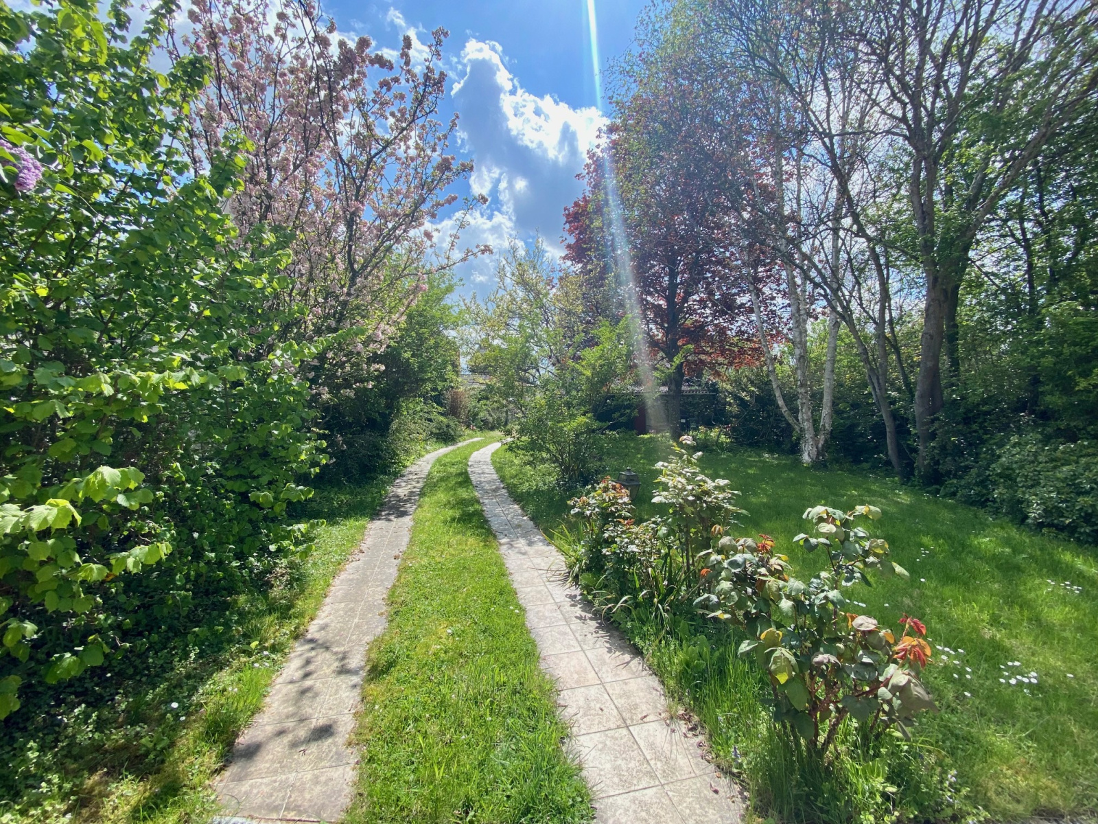 Image_, Maison, Rambouillet, ref :B948